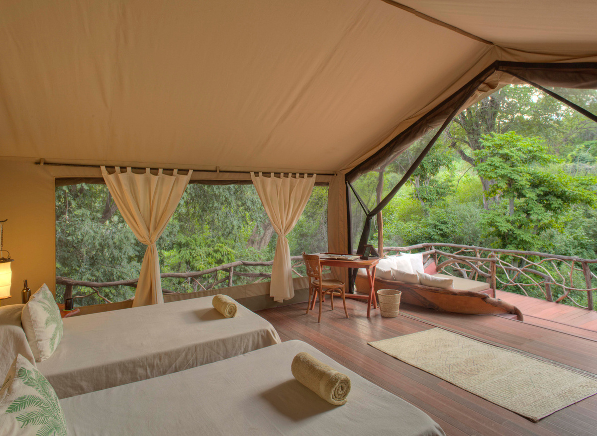 Sarara Treehouses _ Room view_ Image by Stevie Mann.jpg