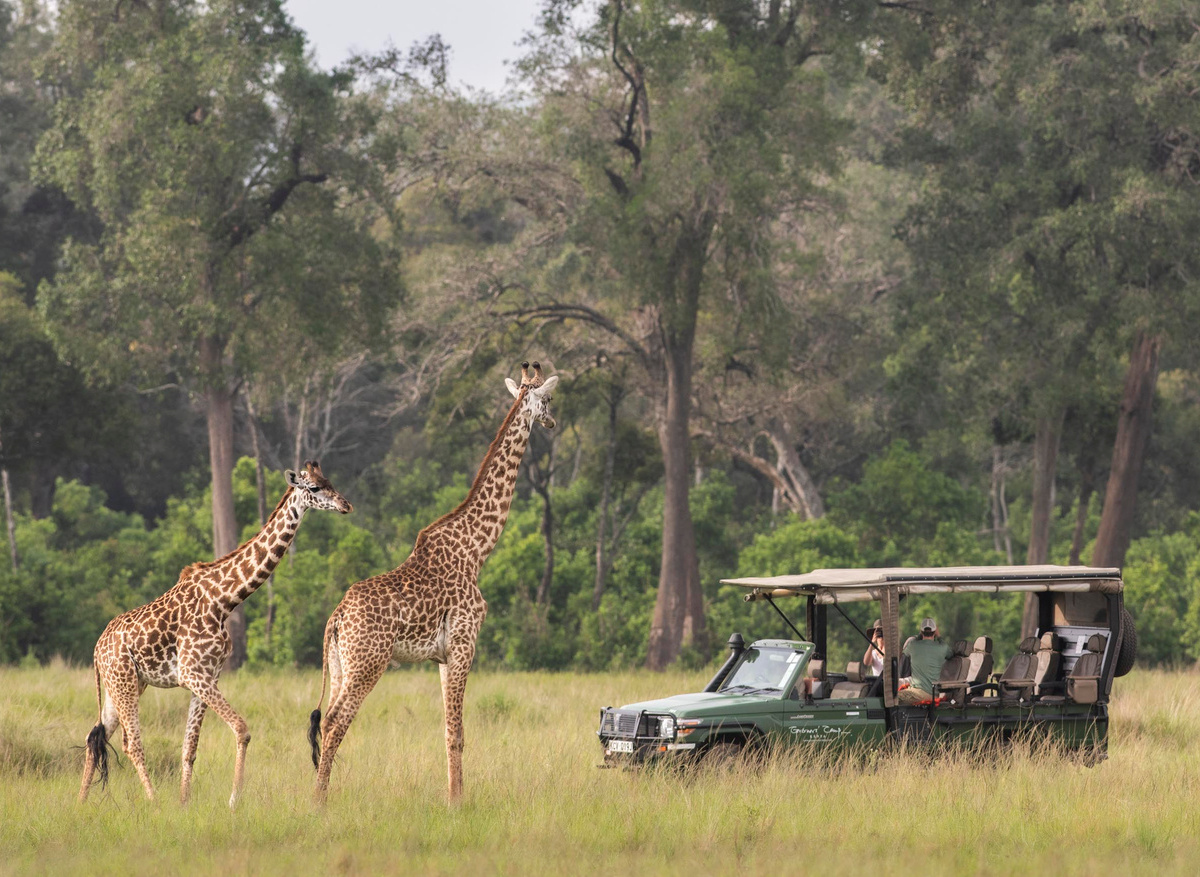Game drive