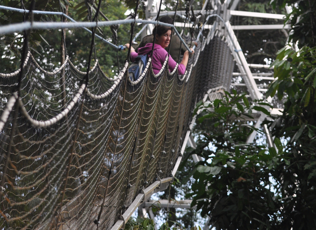 Nyungwe_Canopy Walk.jpg