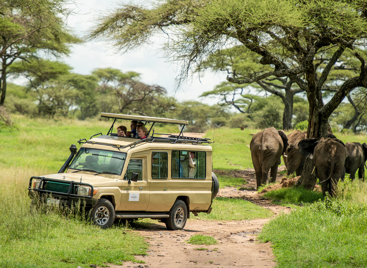 Safari Drives