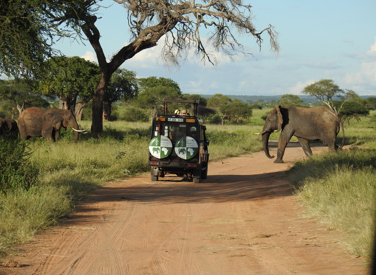 Tarangire National Park