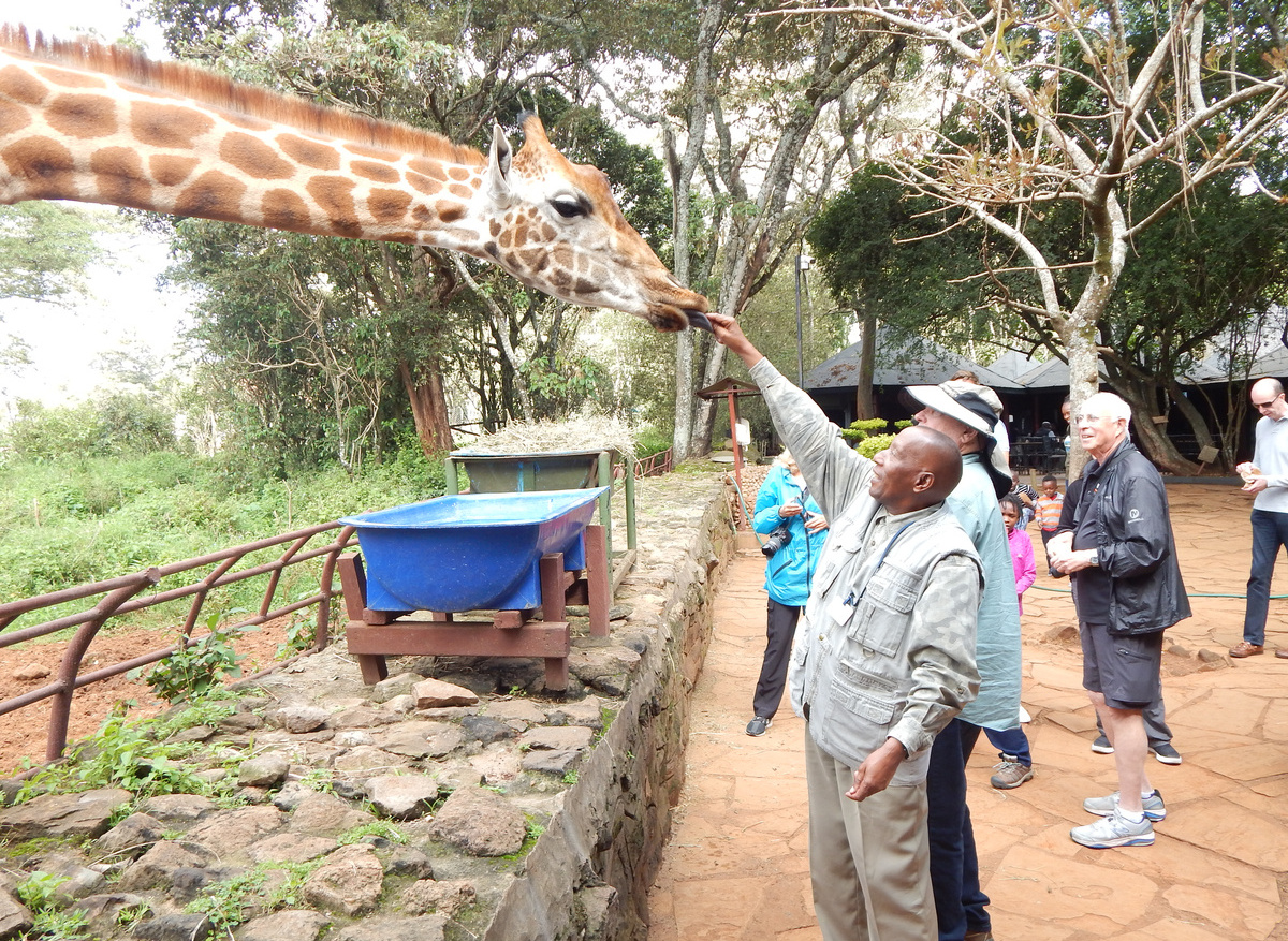 Our Tour leader with guests at the Giraffe Centre in Kenya.JPG