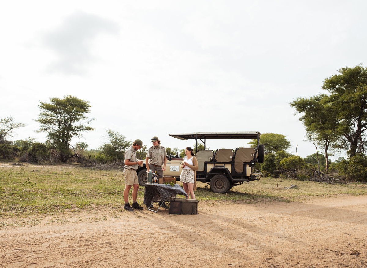 Safari stop with Hamiltons Tented Camp