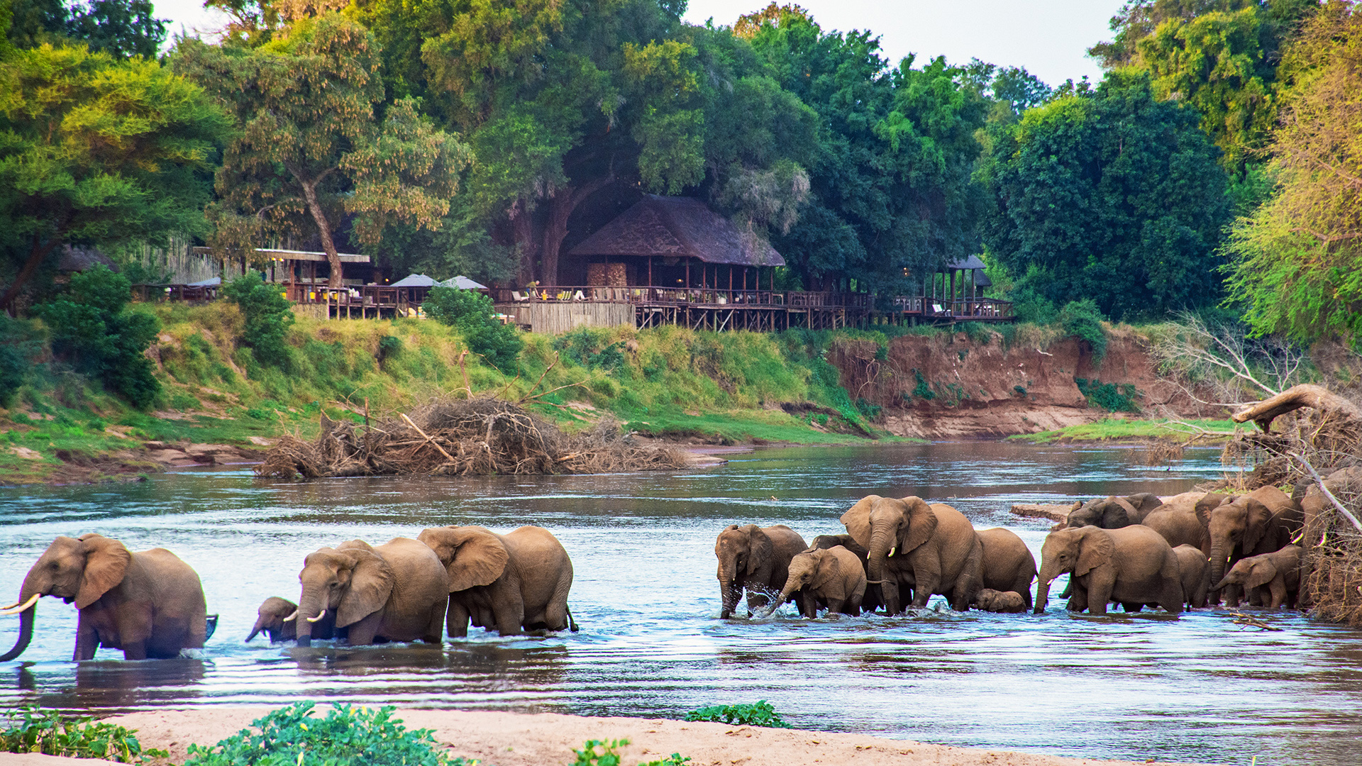 Return Africa Pafuri Tented camp.jpg