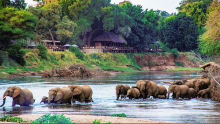 Return Africa Pafuri Tented camp.jpg