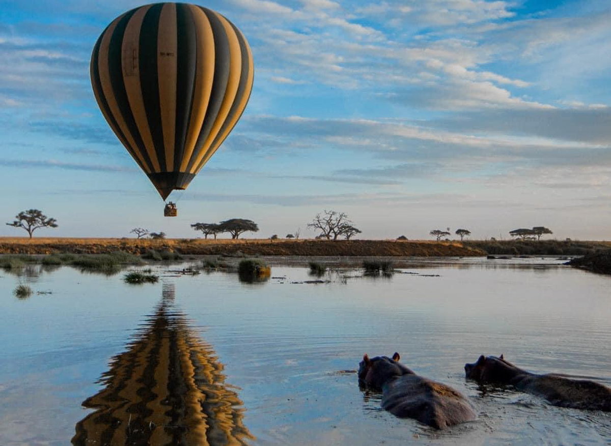 Ballooning.jpg