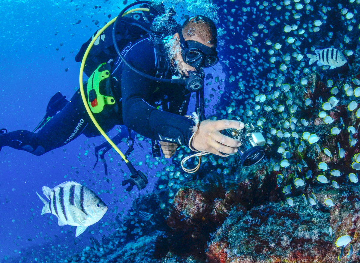 A typical dive at St Helena. Photo by Will Appleyard.jpg