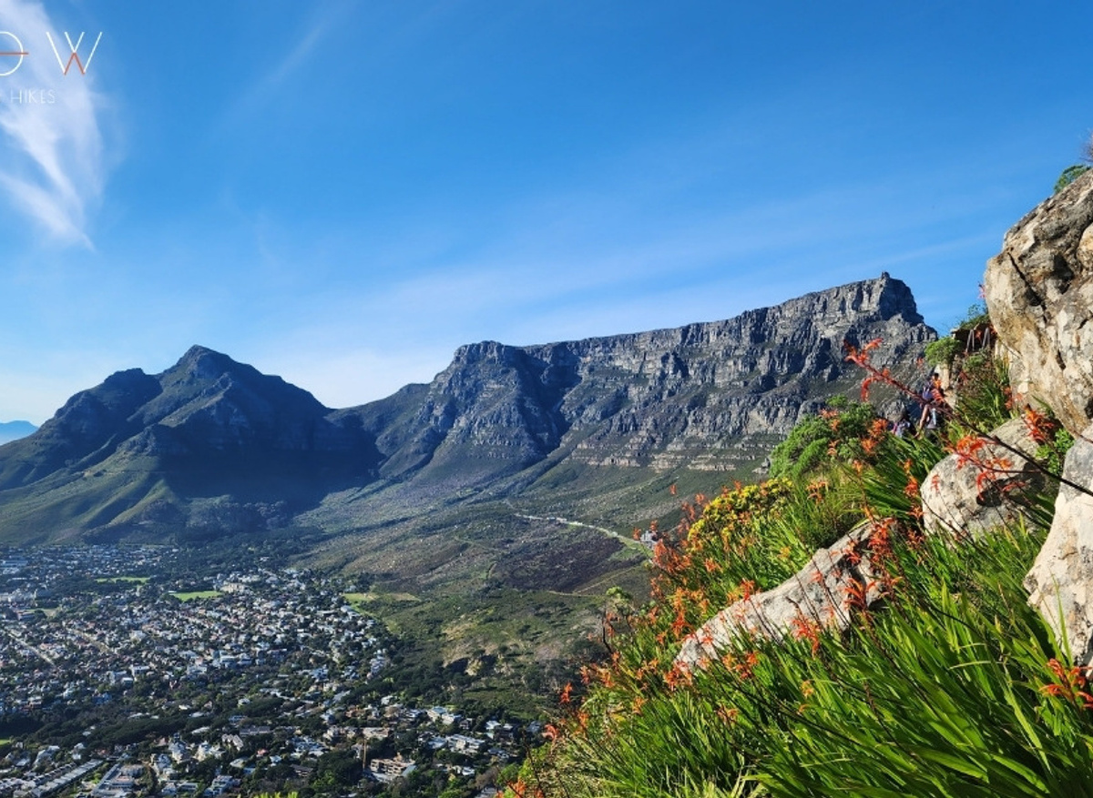 CHAINS & LADDERS - LION'S HEAD VIEW.jpg