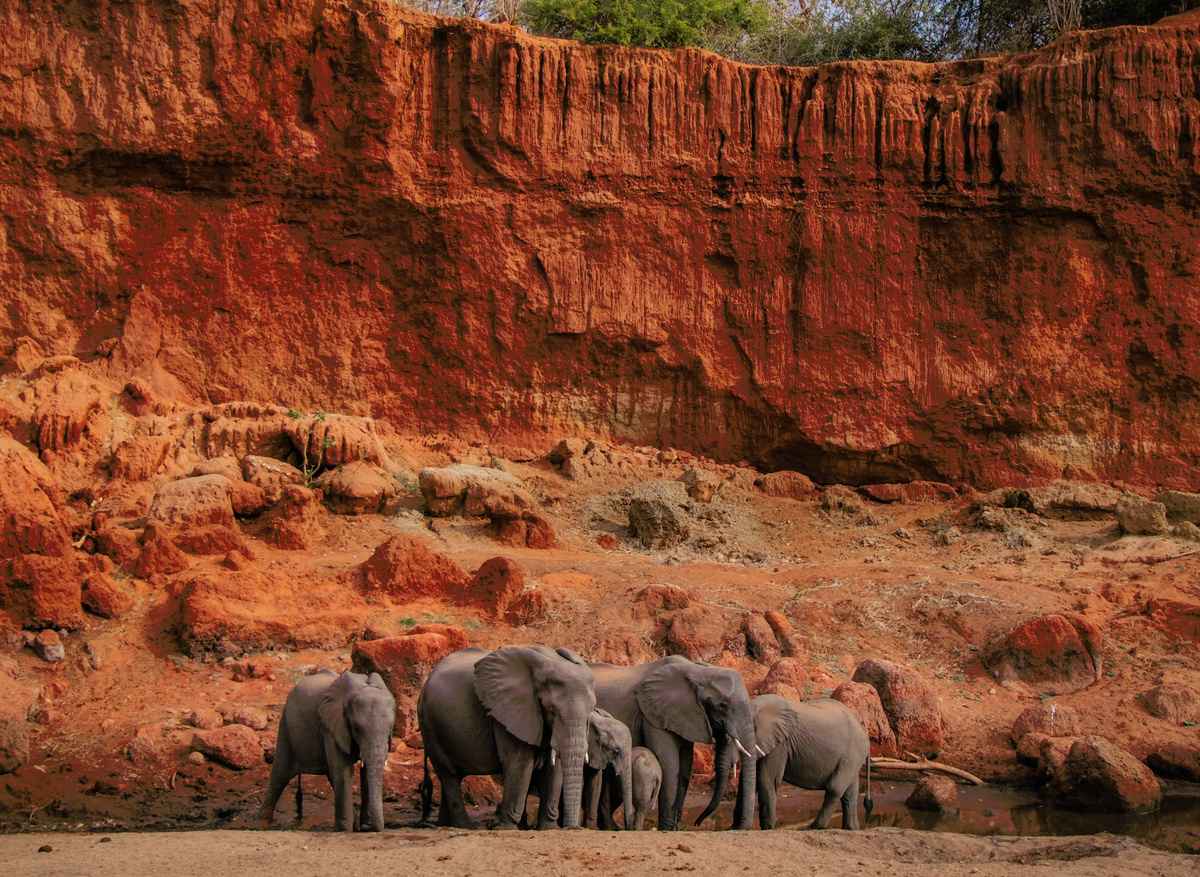 Time + Tide Chongwe - Game Drive Activity