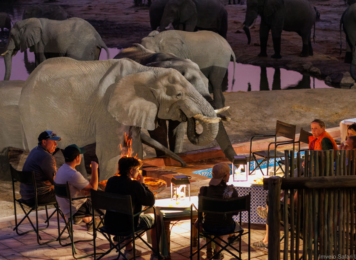 Living with the elephants at Nehimba Lodge