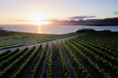 Benguela Cove Lagoon Wine Estate Strengthens Sustainability Commitment with Travelife Gold Certification