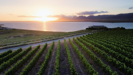 benguela-cove-s-famous.jpg