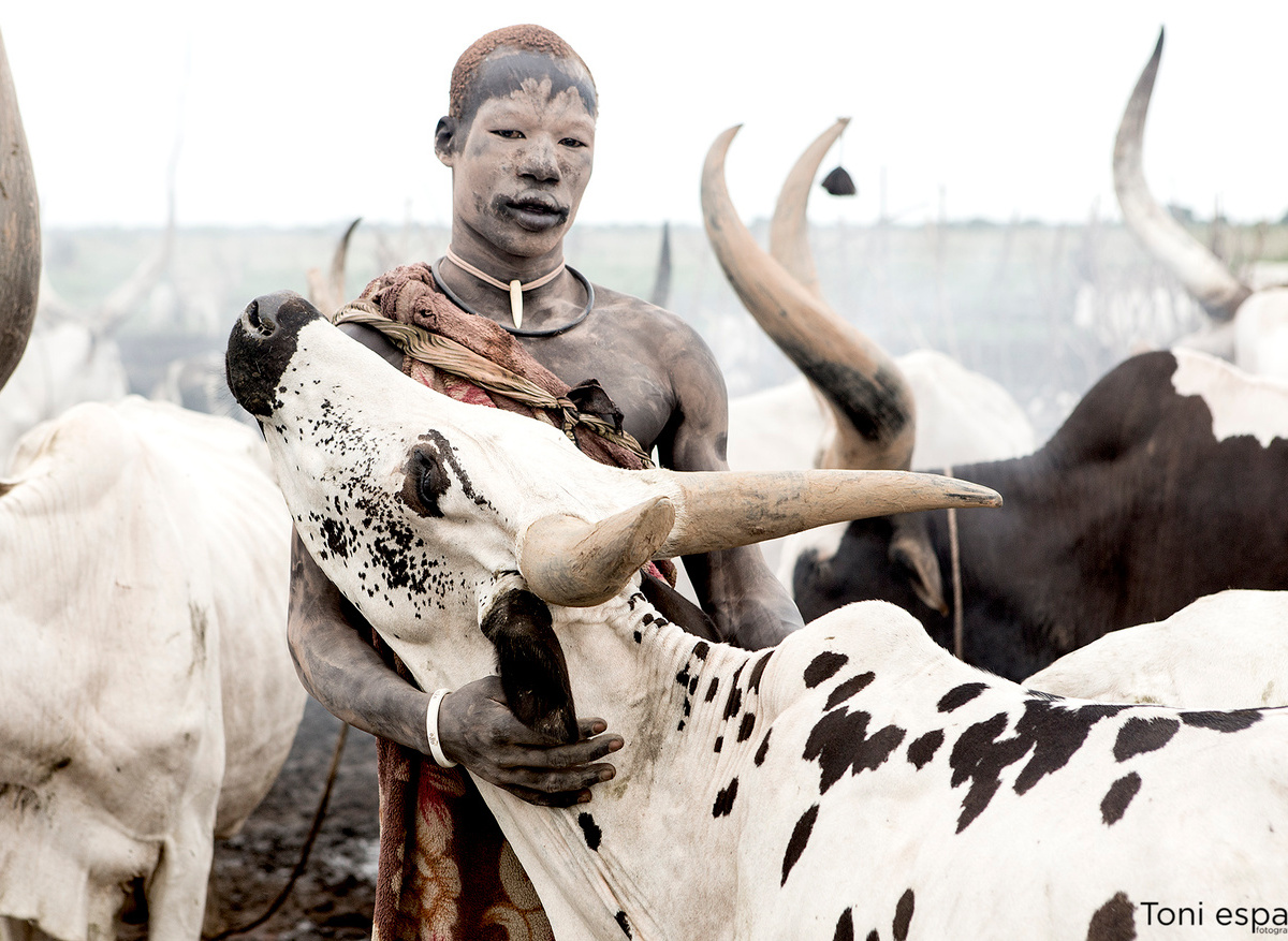 Mundari cattle camp South Sudan 