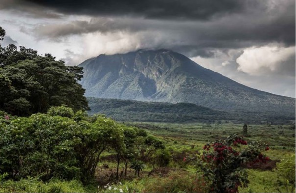 Picture-1.jpg-Virunga.jpg