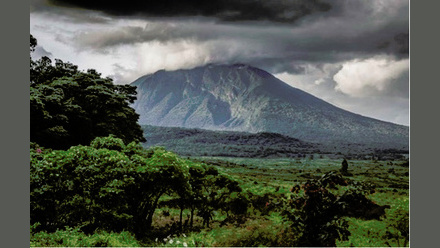Picture-1.jpg-virunga.jpg