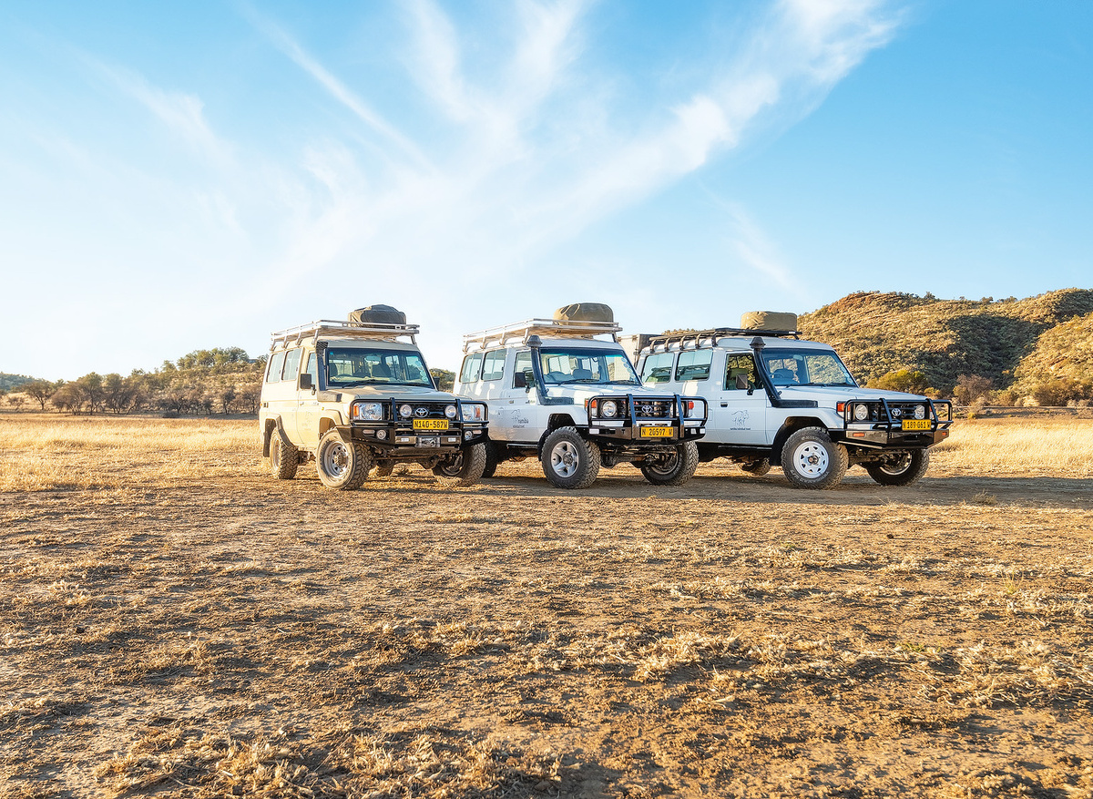 6 Seater Vehicles
