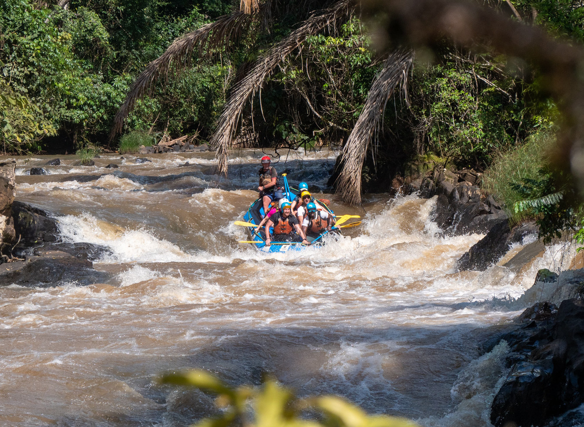 Double Drop in the Kakamega Rain Forest