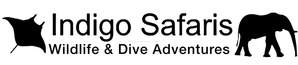 IS Wildlife and Dive Adventures.jpg