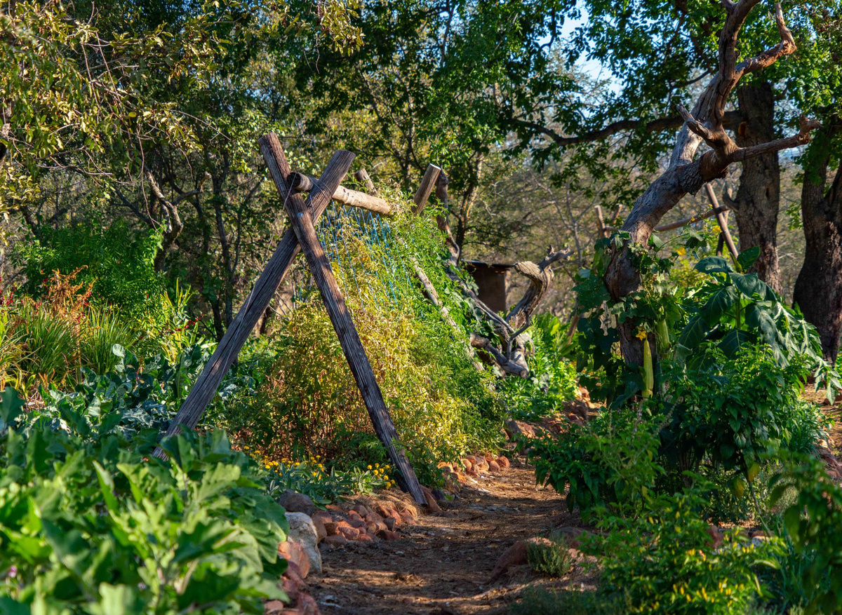 The Permaculture Garden_1.jpg