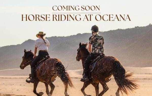 HorseridingSocialFlyer.jpg