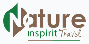 Nature Inspirit Travel - Logo - Big.jpg 1