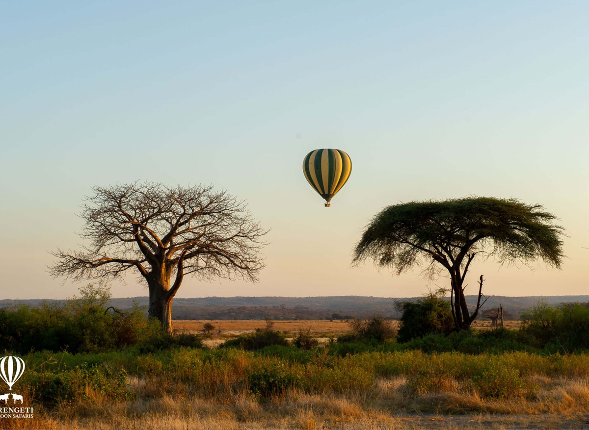TARANGIRE BALLOON SAFARI.jpg