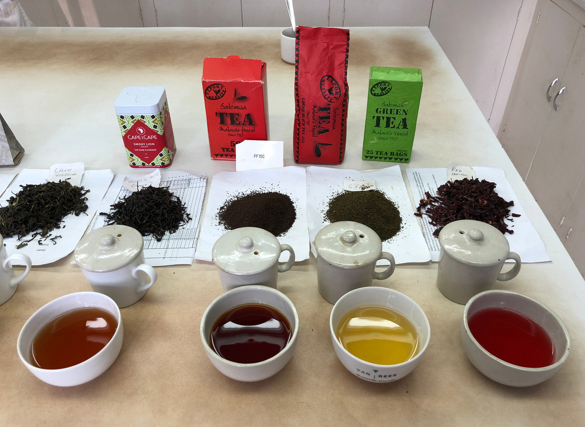 Tea Tasting, Satemwa