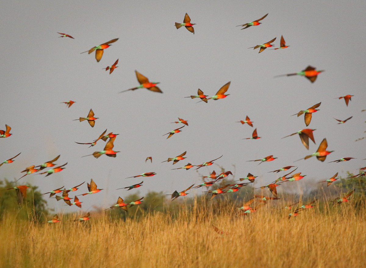 36713CA3-72C8-43B2-977BF38F7A049E30_2