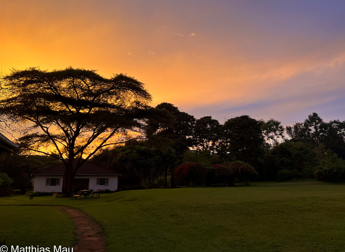 Sunset over the gerdens