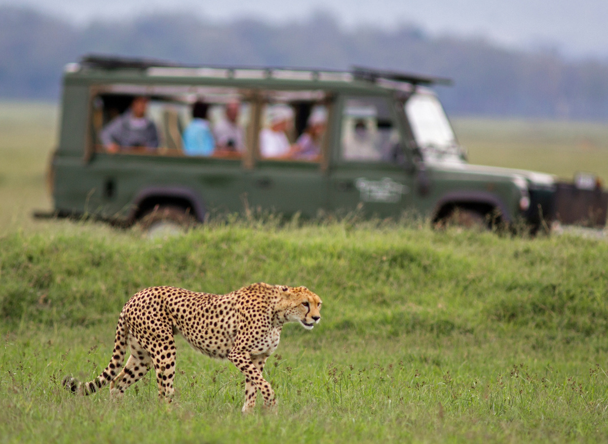 Maasai Mara National Reserve