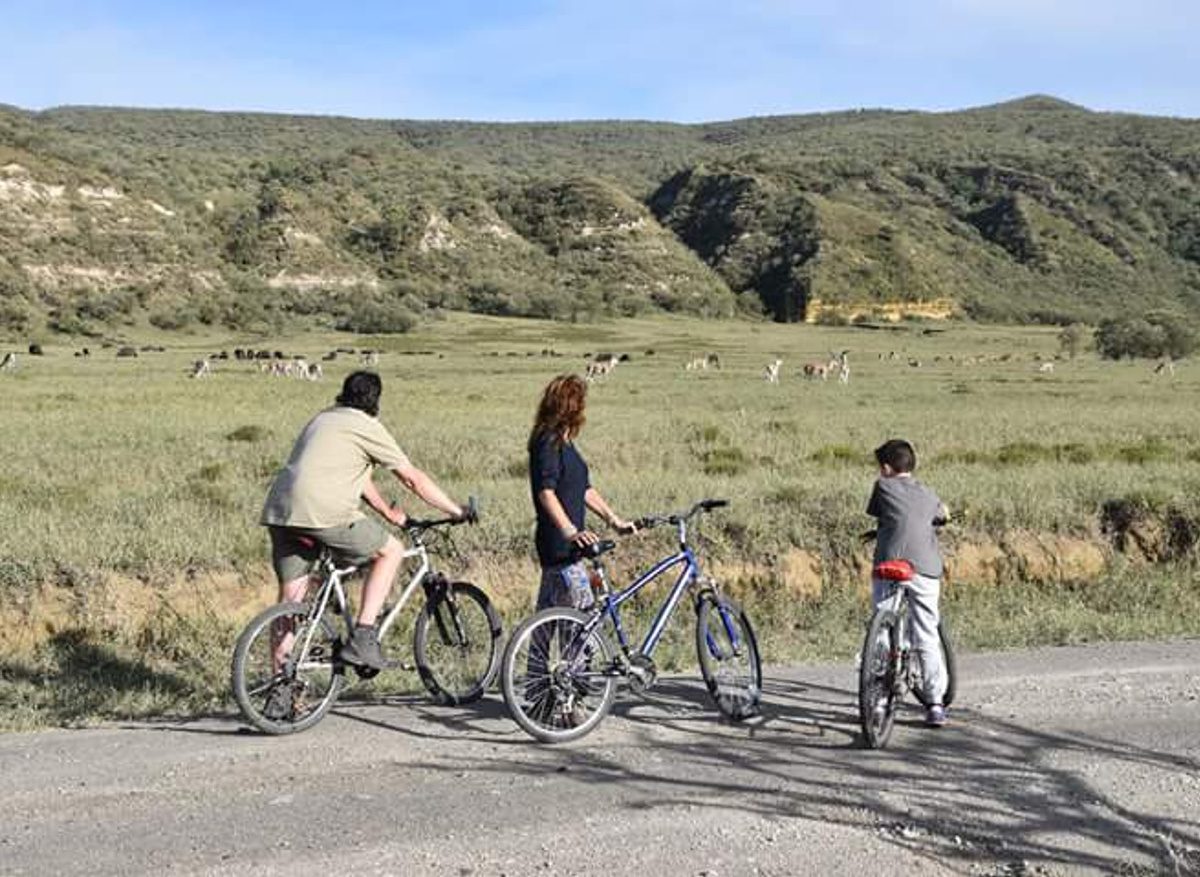 Cycle on Safari.jpg