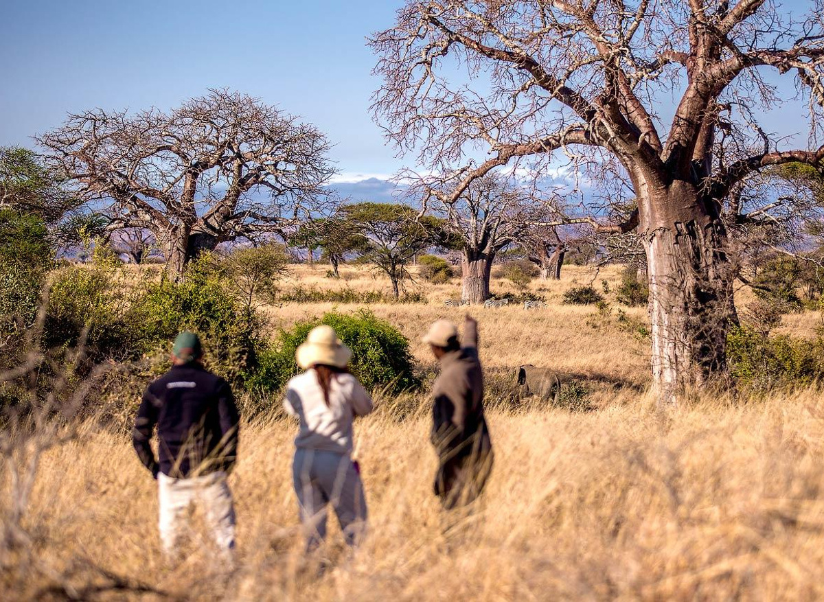 WALKING SAFARI111.jpeg