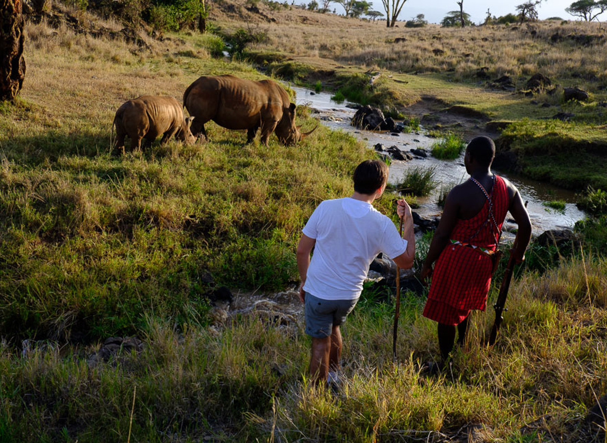 Walking, with rhinos.jpeg