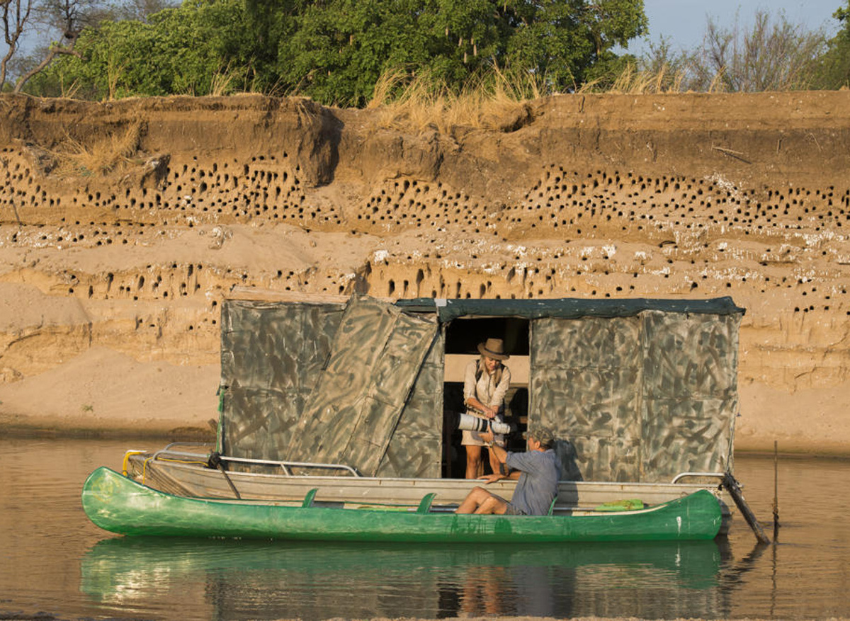 Shenton Safaris Carmine Bee-Eater Hide