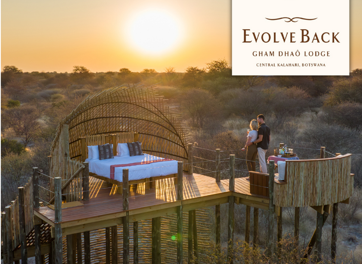 Evolve Back - Gham Dhao