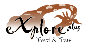 11089 - Explore Plus Logo-Transparent01.png