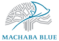 MachabaBlue logo.png 1