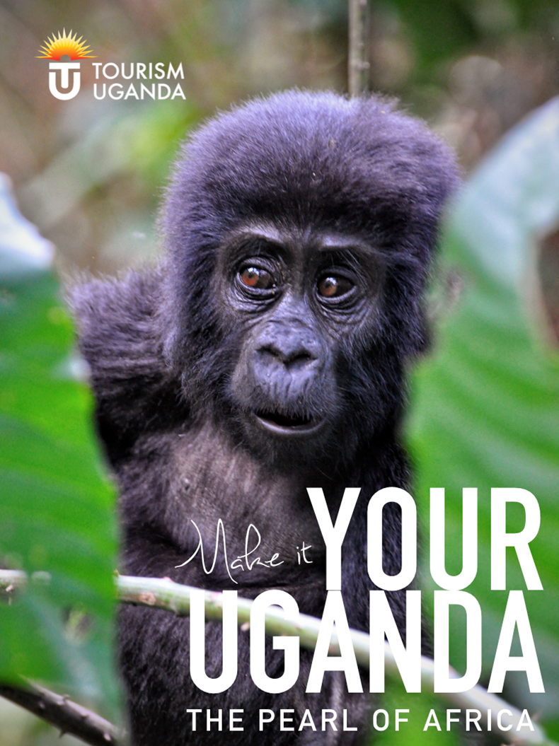 More gorillas in Uganda.png