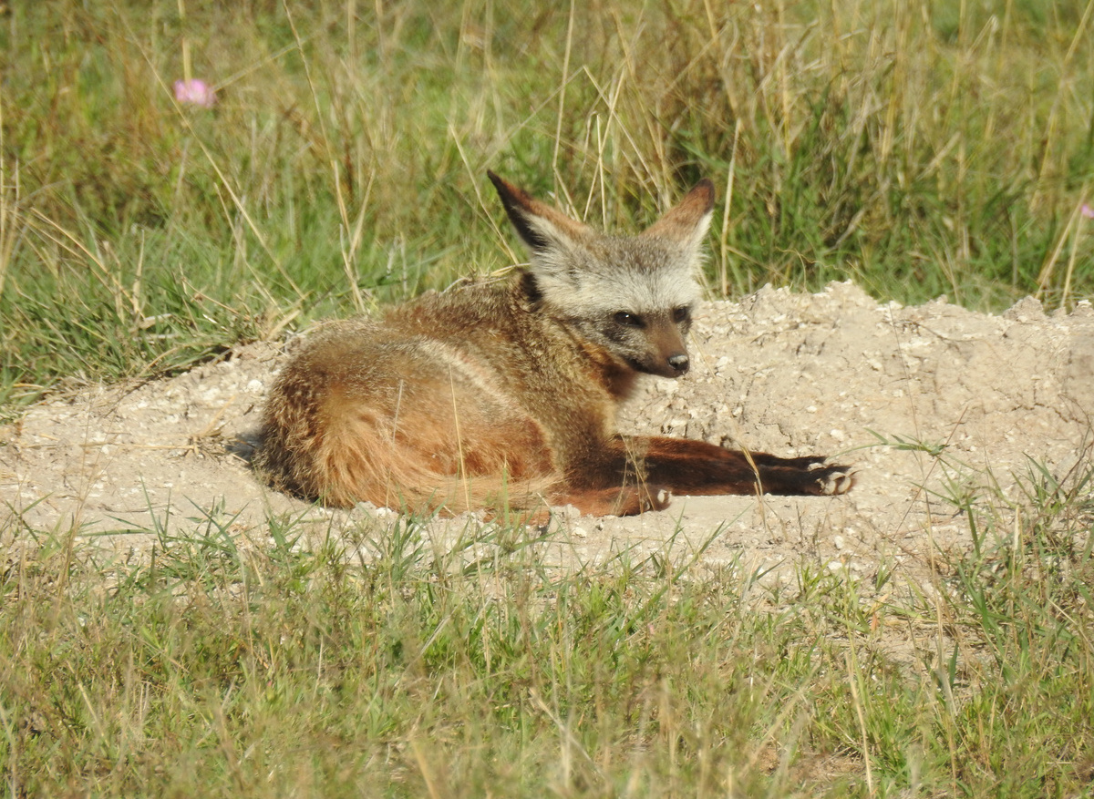 DSCN7027.JPG