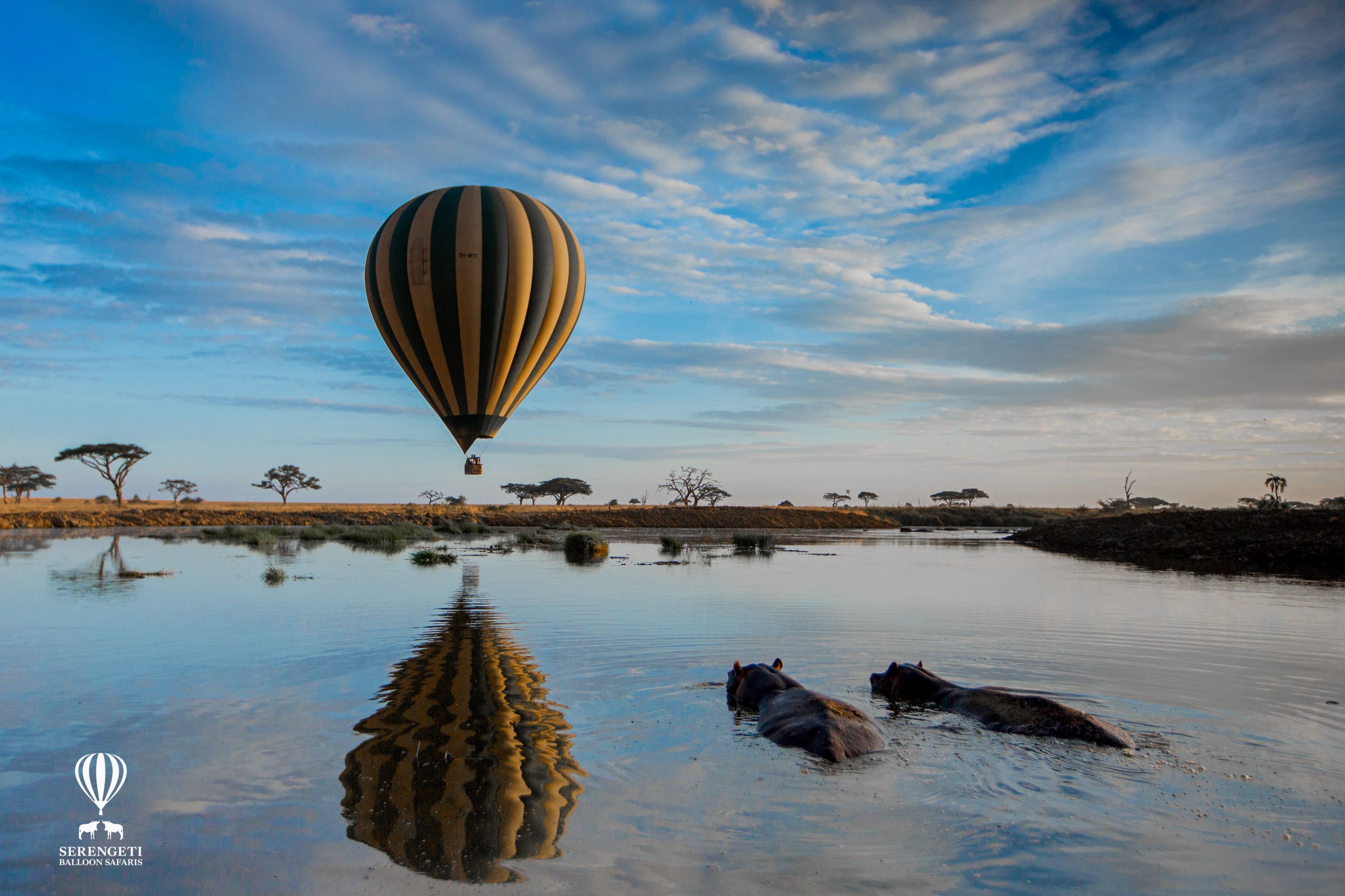 Balloon+and+Hippo2.jpg