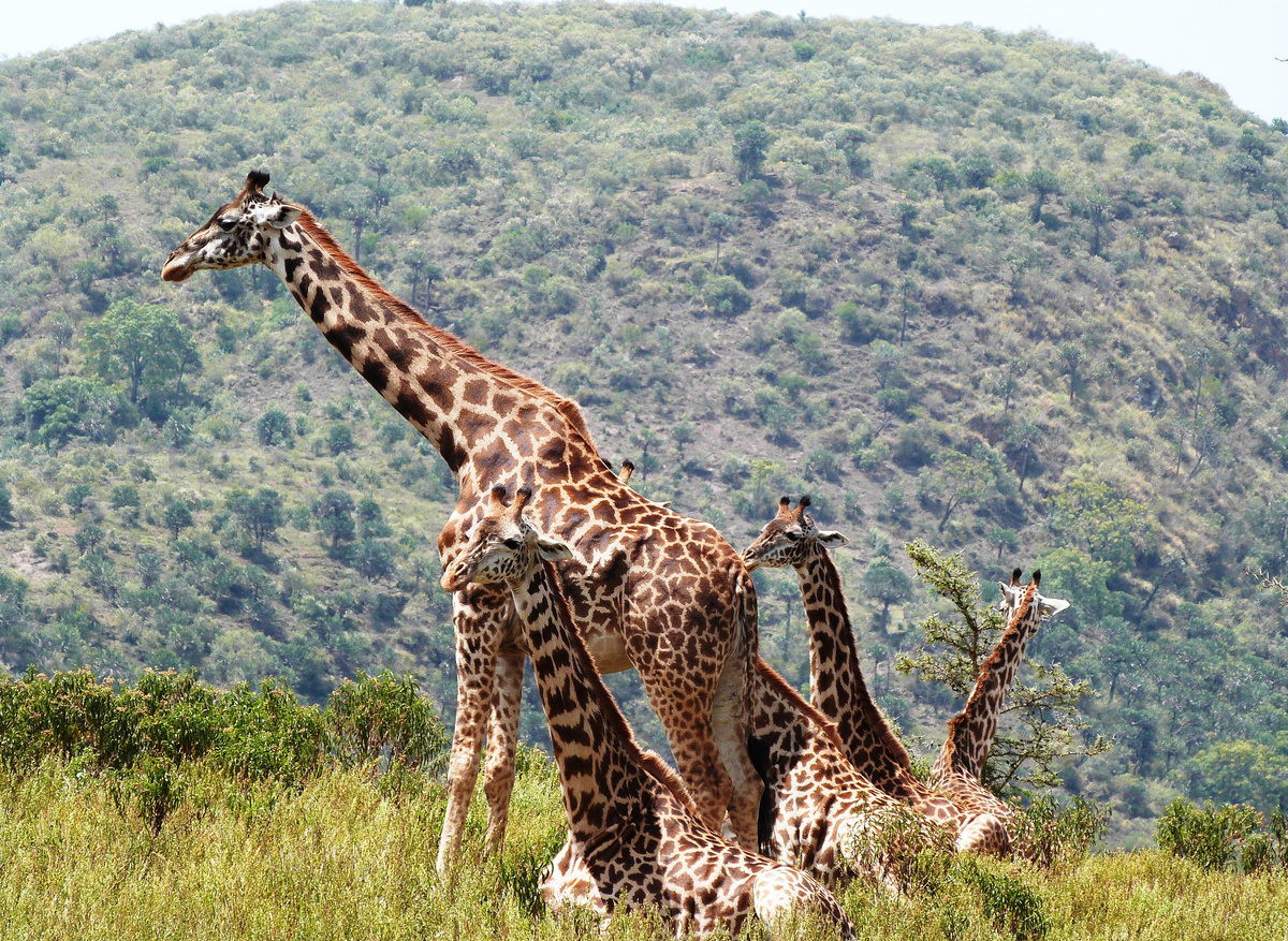 Copia de P1130443.jpg