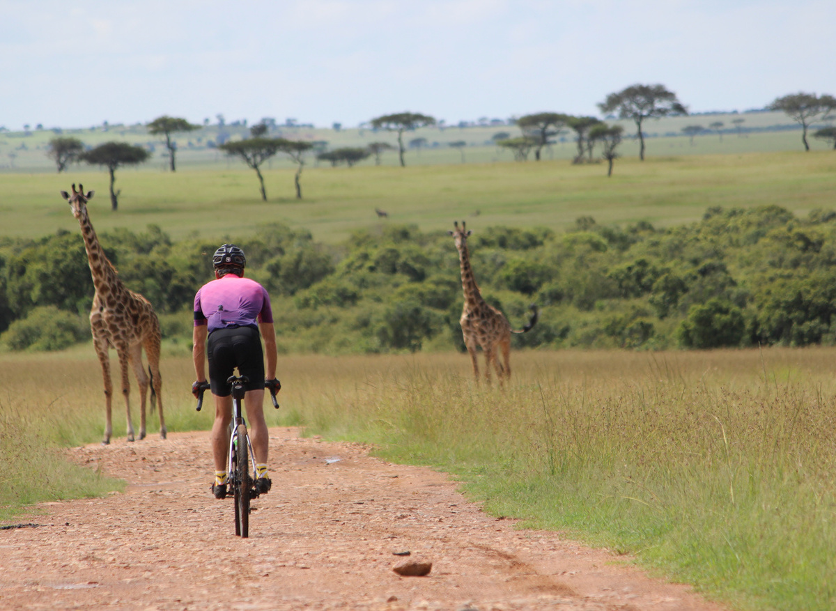 Gravel Bike with Giraffe