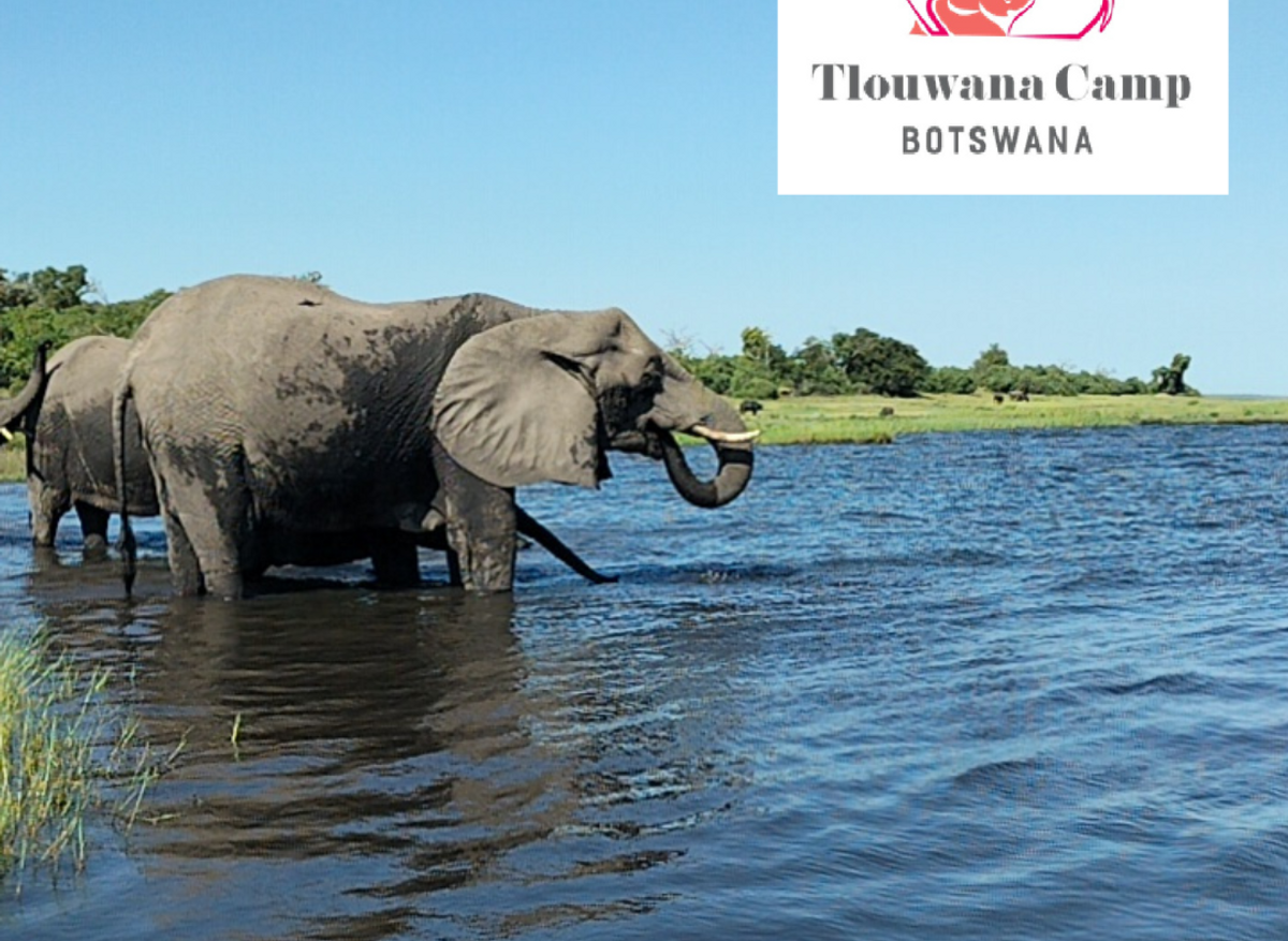 Tlouwana Camp - East Chobe Botswana