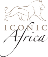 Final-iconic-africa-logo.png