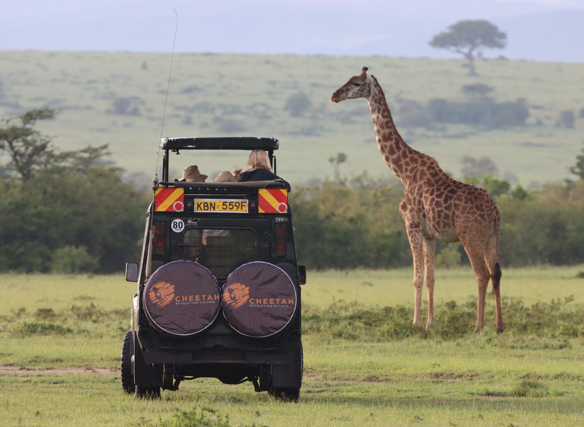 how-to-plan-the-best-african-safari-on-a-budget-in-2023-cheetah-safaris-8-scaled.jpg