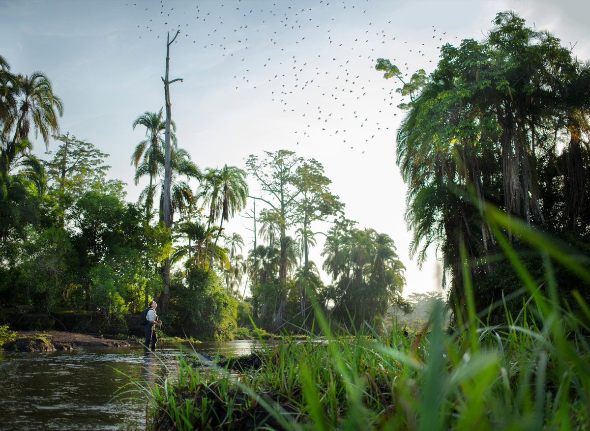 Kamba_Lango_Bai walk.jpeg