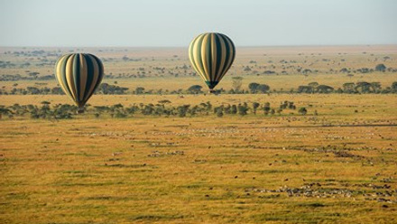 Balloon Central Serengeti.jpg