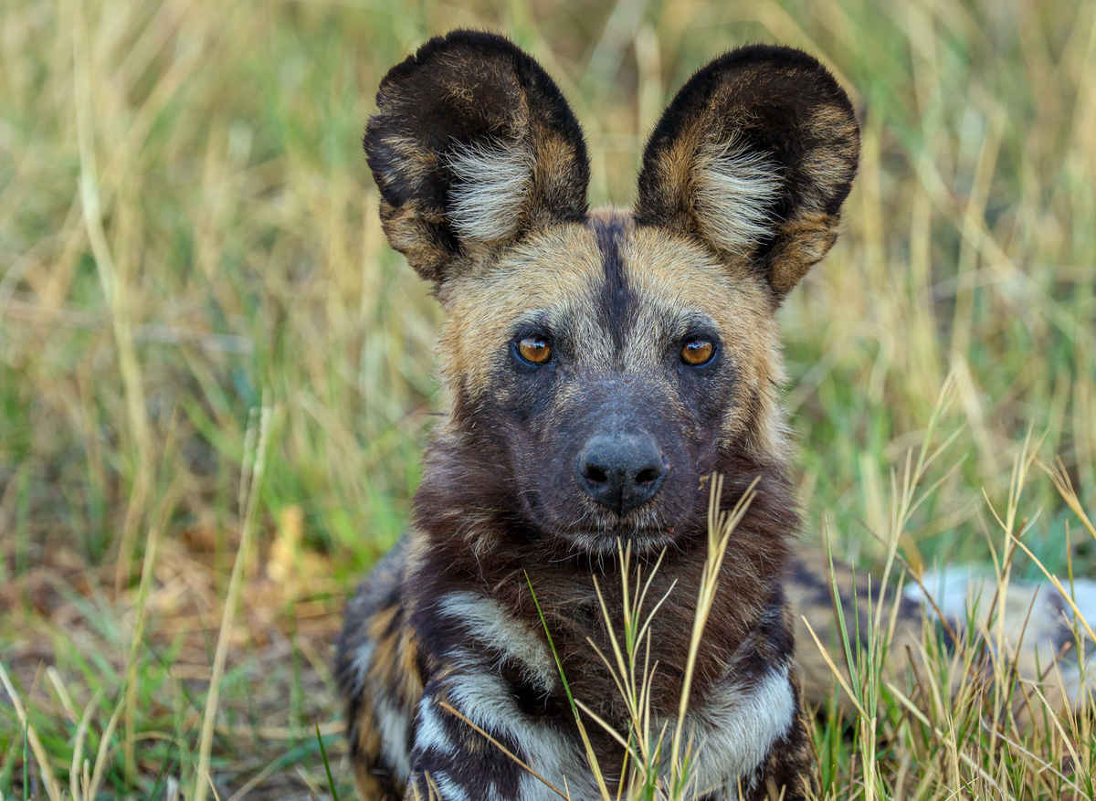 36713CA3-72C8-43B2-977BF38F7A049E30_4