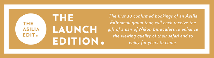 SGT_B2C Launch Mailer Assets_2025_launch 1 (1).png