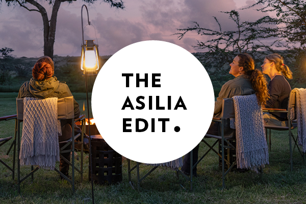 SGT_B2B ATTA Assets_2025_Newsletter (600x400px).png